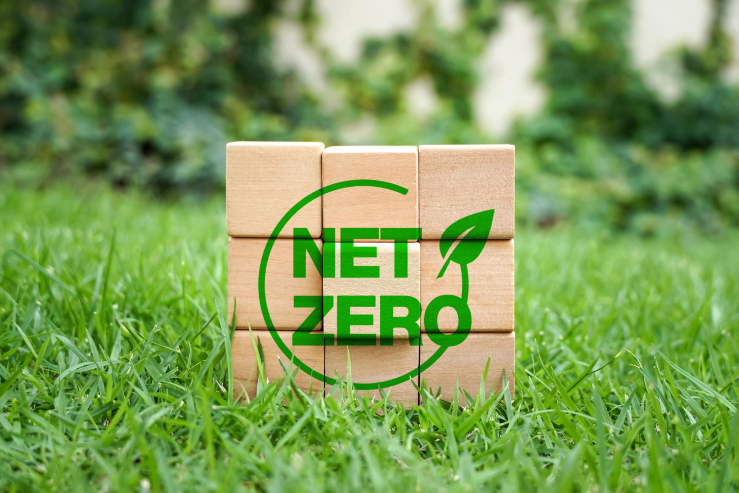 Innovation Fund Net Zero Technologies results 2024