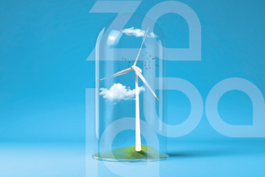 Innovation Consulting and Policy Support