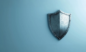 STEP defence funding